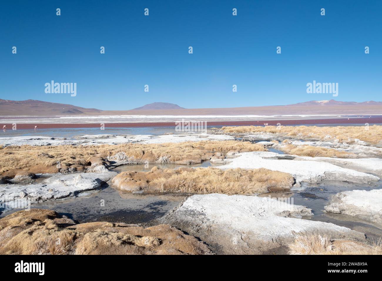Paisajes de Bolivia Stock Photo - Alamy