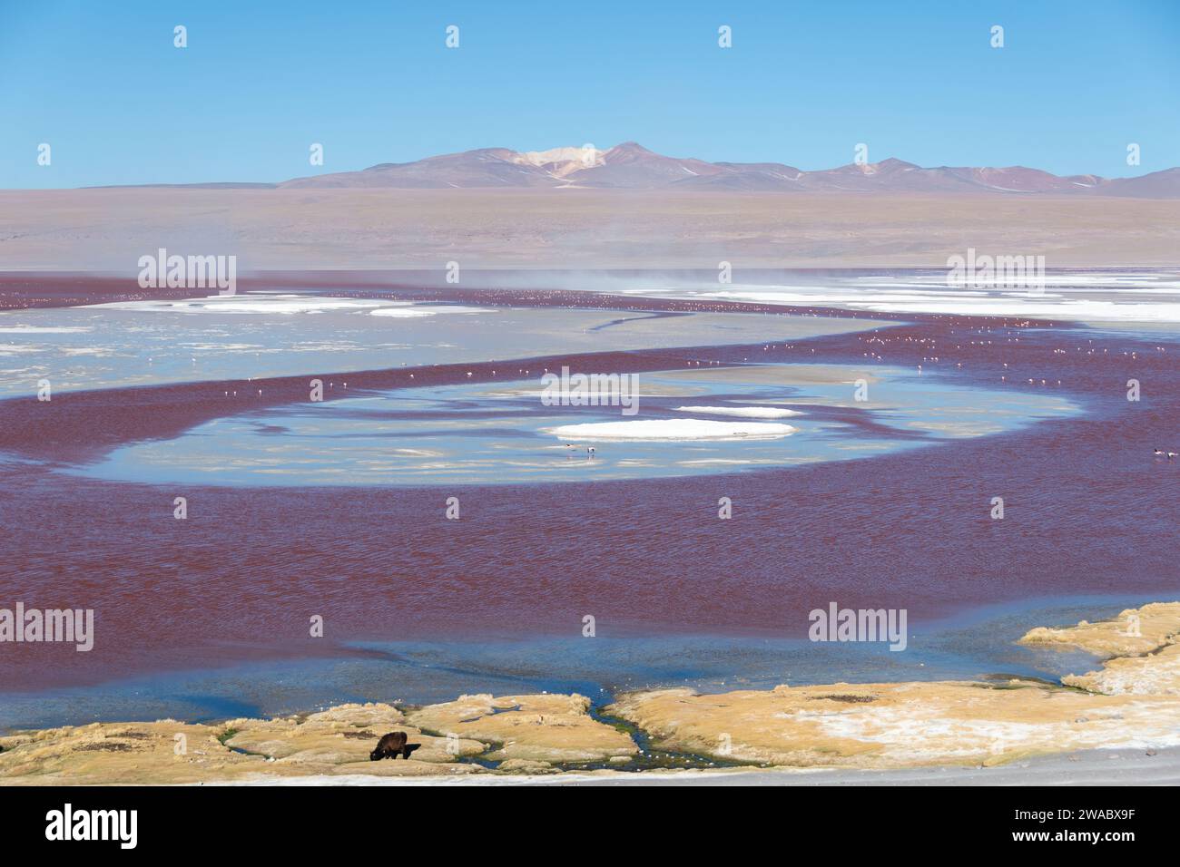 Paisajes de Bolivia Stock Photo - Alamy