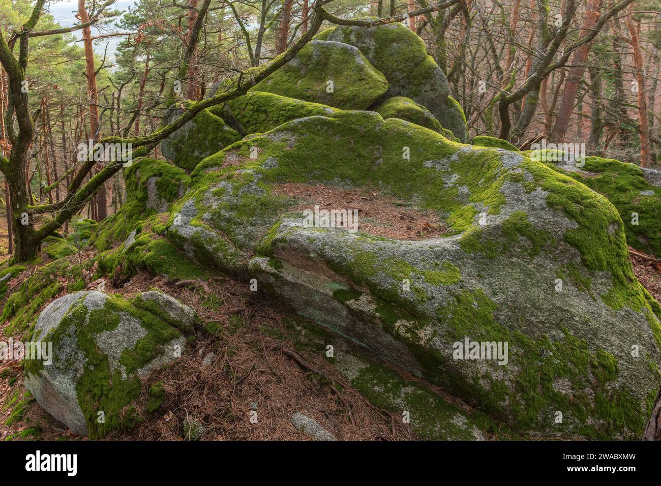 Celtic rock, rock with cups on the rock trail. Dieffenthal, Bas-Rhin, Alsace, Grand Est, France, Europe. Stock Photo