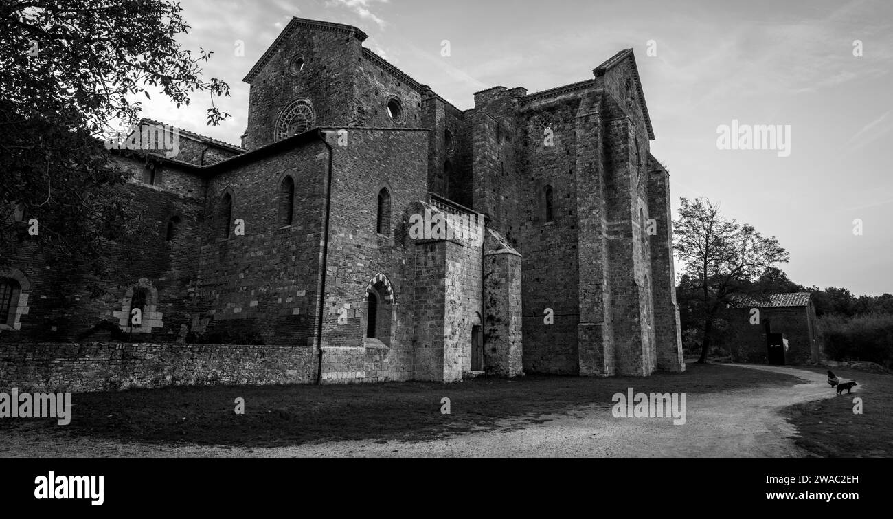 Ruin of the medieval Cistercian monastery San Galgano in the Tuscany, Italy Stock Photo