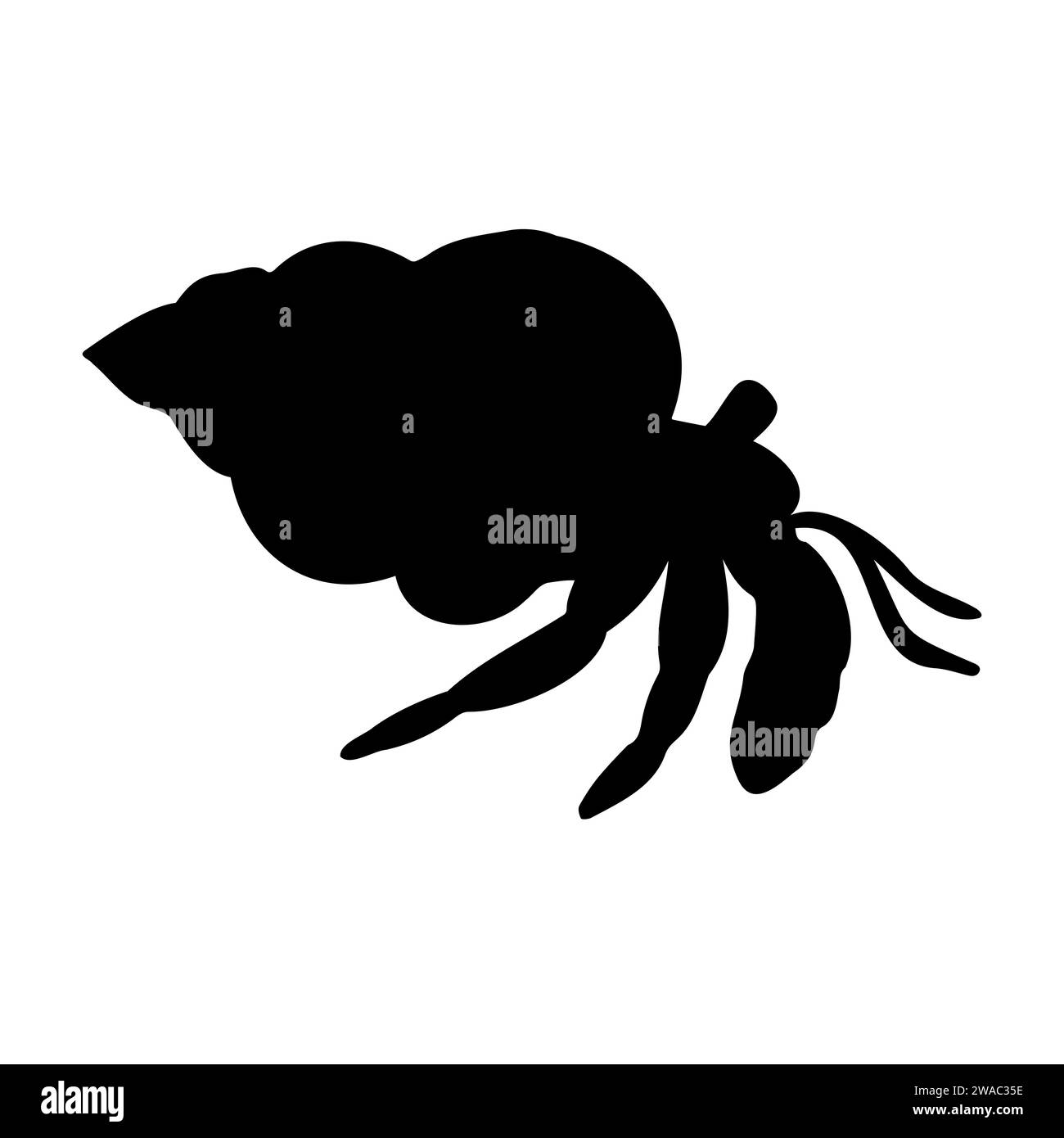 Vector hand drawn hermit crab silhouette isolated on white background ...