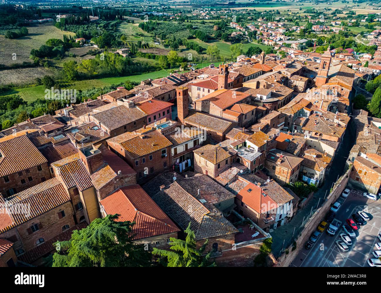 il timone torrita di siena