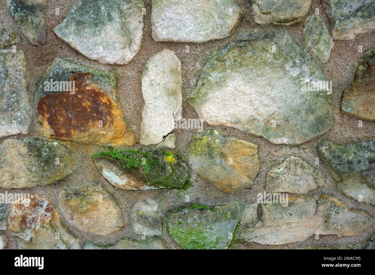 An old irregular garden wall with moss and algae overgrown. Stock Photo