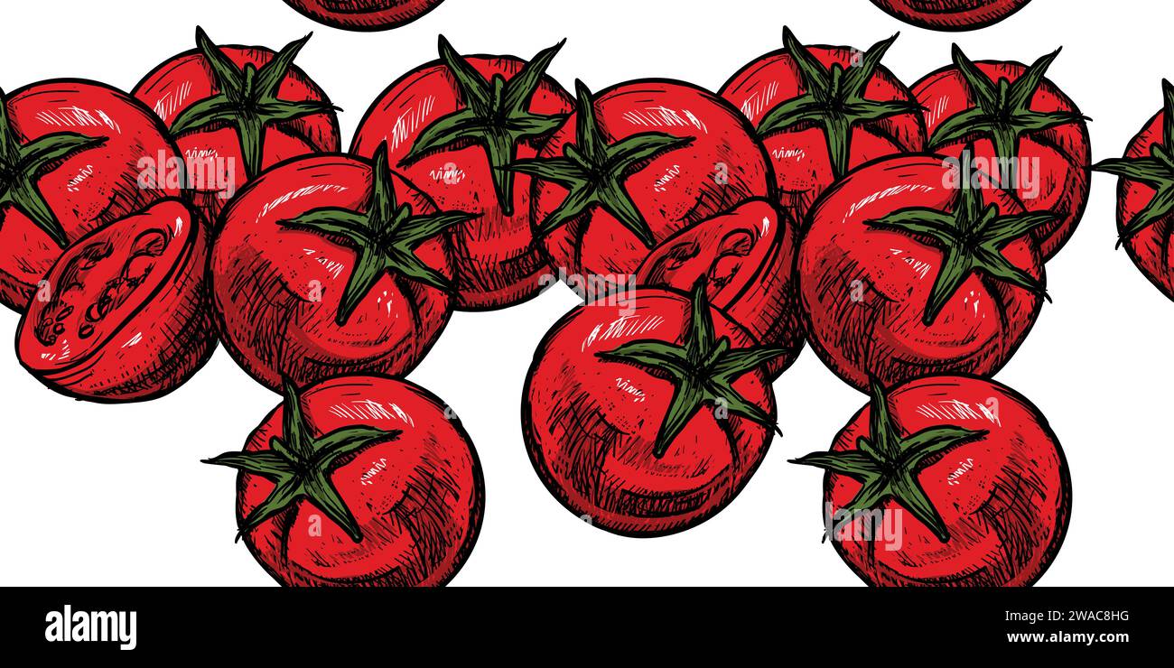 Tomatoes pattern isolated on white background. Hand drawn and sketch ...