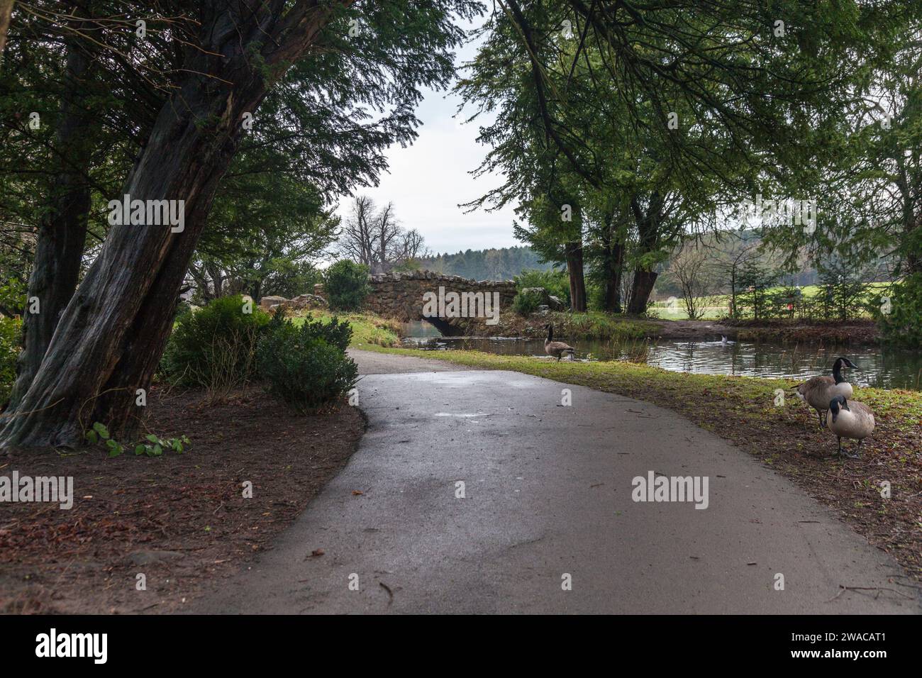 Scenic view of the footbridge at Hardwick Park,Sedgefield,Co.Durham