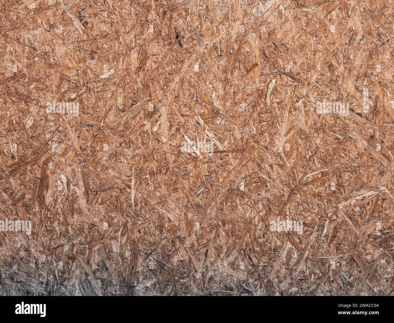 Oriented strand board (OSB) wood texture background. The material is