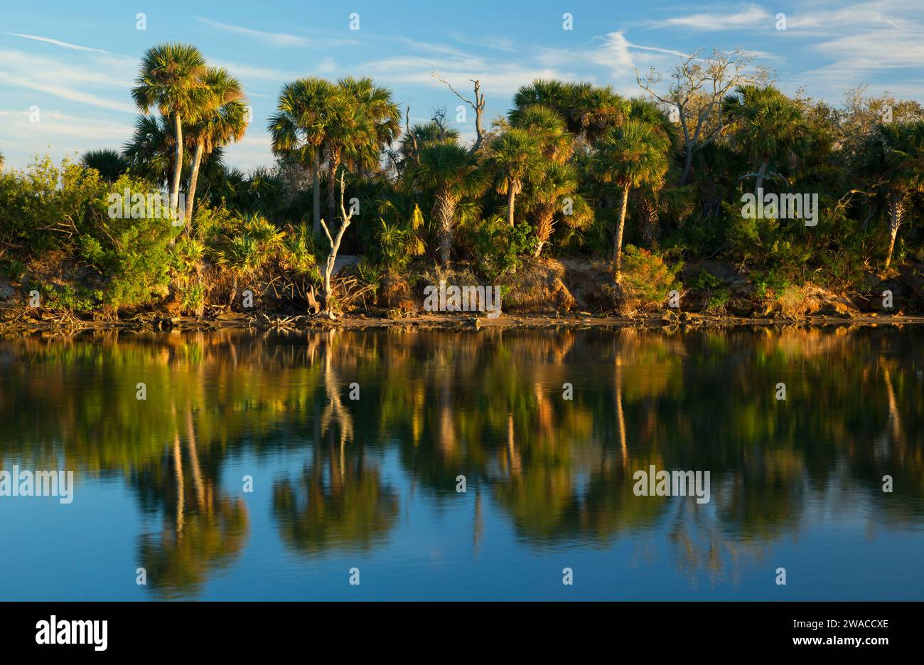 Haulout Canal, Merritt Island National Wildlife Refuge, Florida Stock Photo