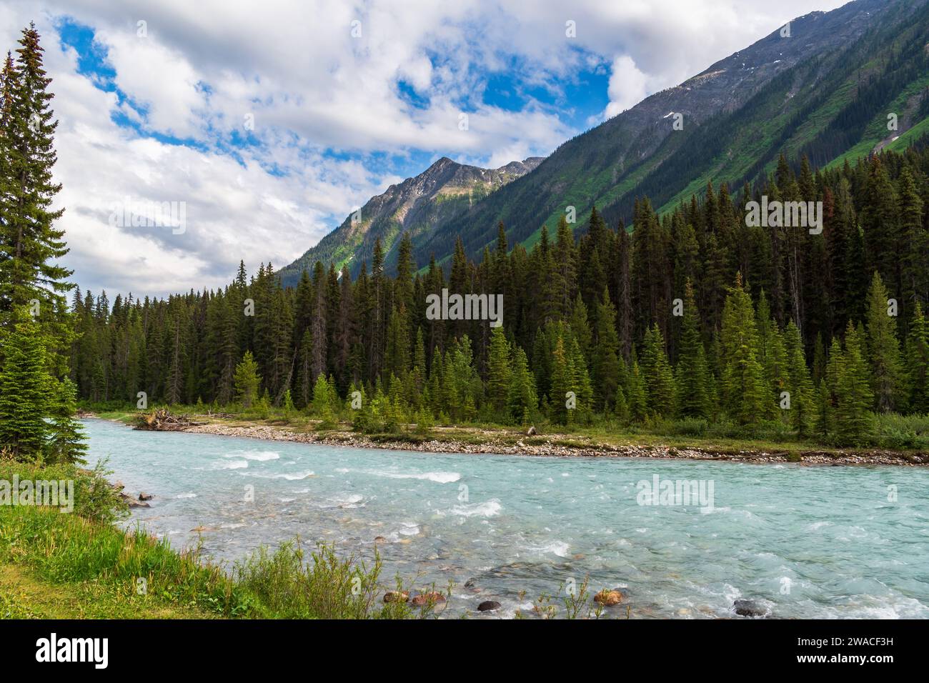 Kootenay river valley hi-res stock photography and images - Alamy