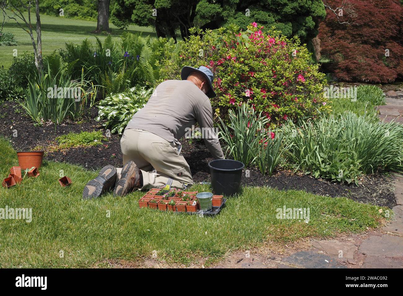 The garner id=s hard a work tending his garden, Stock Photo