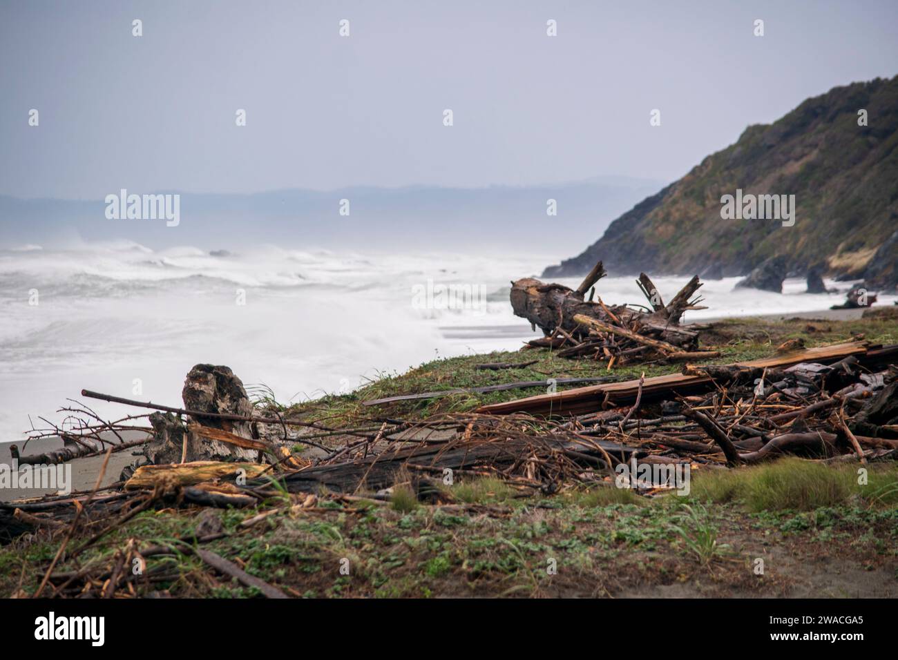 Redwoood National and State Parks in Northern California features miles of beautiful coastline. Stock Photo
