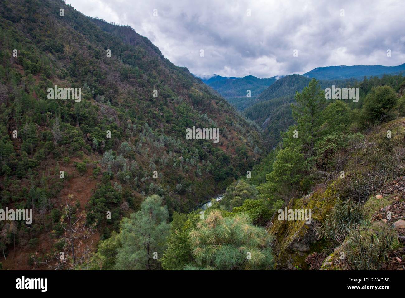 Trinity Ca Trinity river in northern california hi-res stock photography and ...