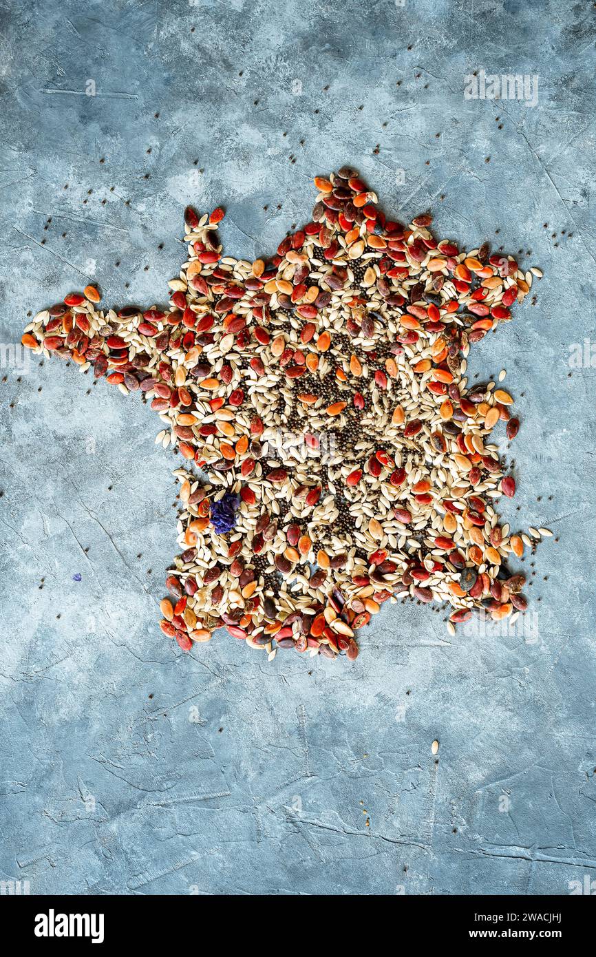 design of the country France made up of colored seeds on a grey background. Cereal-producing countries. View from above Stock Photo