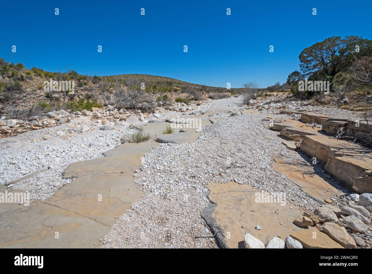 Eroded and Layered Rocks in a Desert Arroyo in Gaudalupe Mountains National Park in Texas Stock Photo