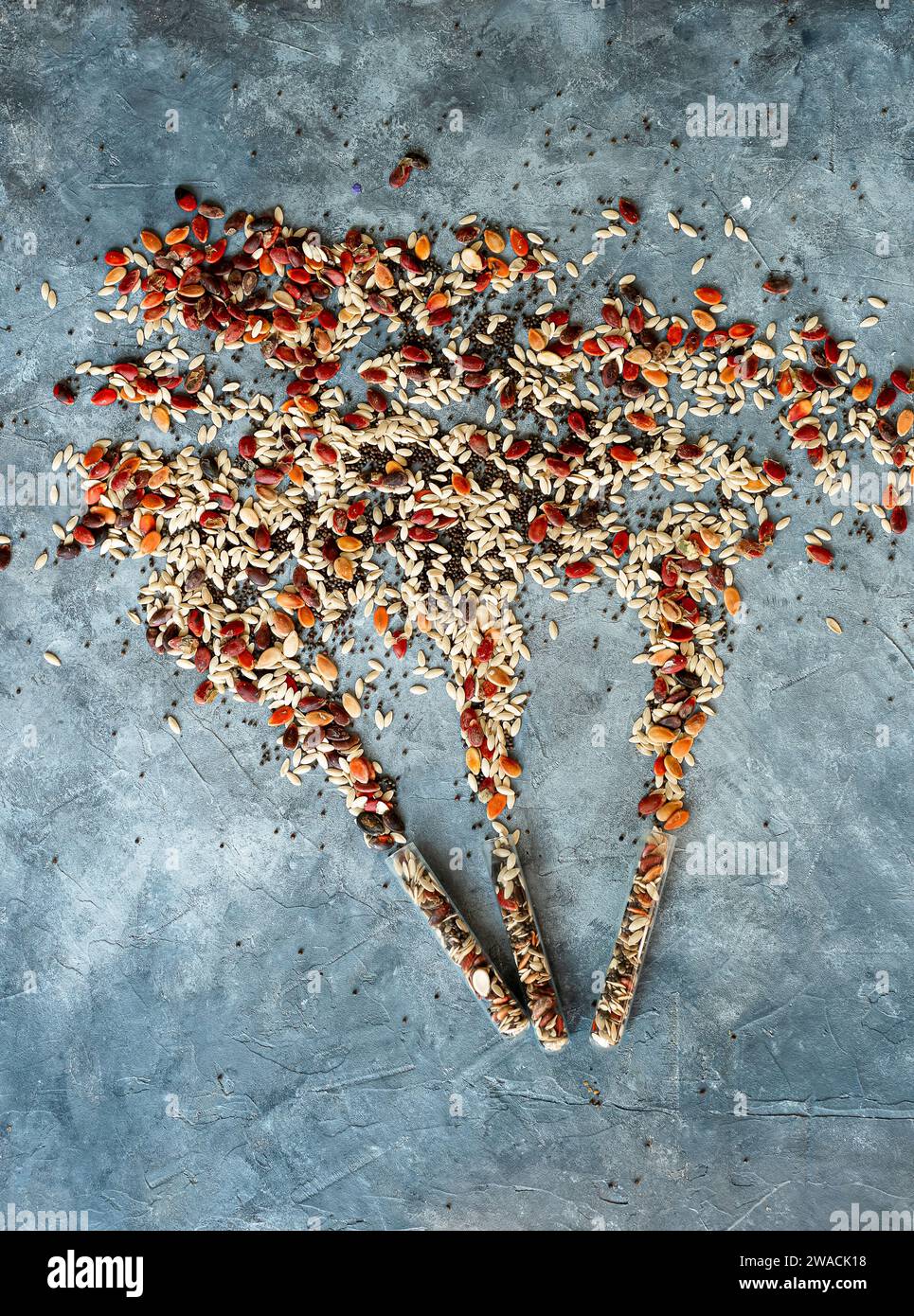 explosion of multicolored seeds from swarm tubes on a grey background. pumpkin seeds, poppies, beans, etc. Stock Photo
