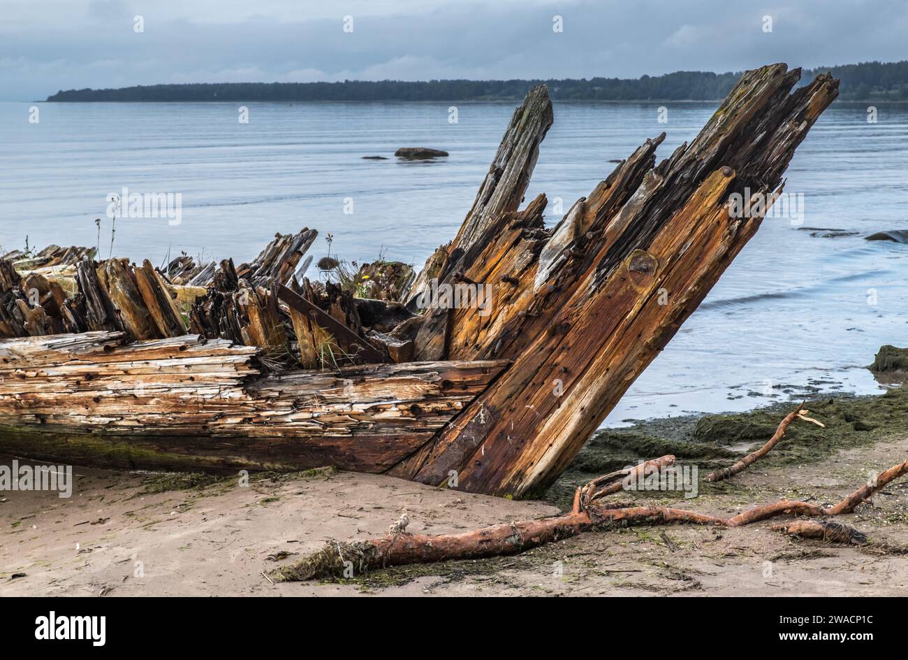 Comté de Harju - Epave d'un trois mâts échoué sur la plage Stock Photo