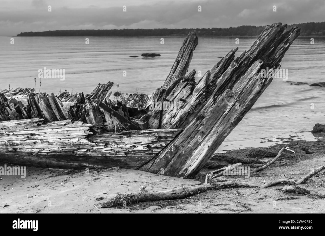 Comté de Harju - Epave d'un trois mâts échoué sur la plage Stock Photo