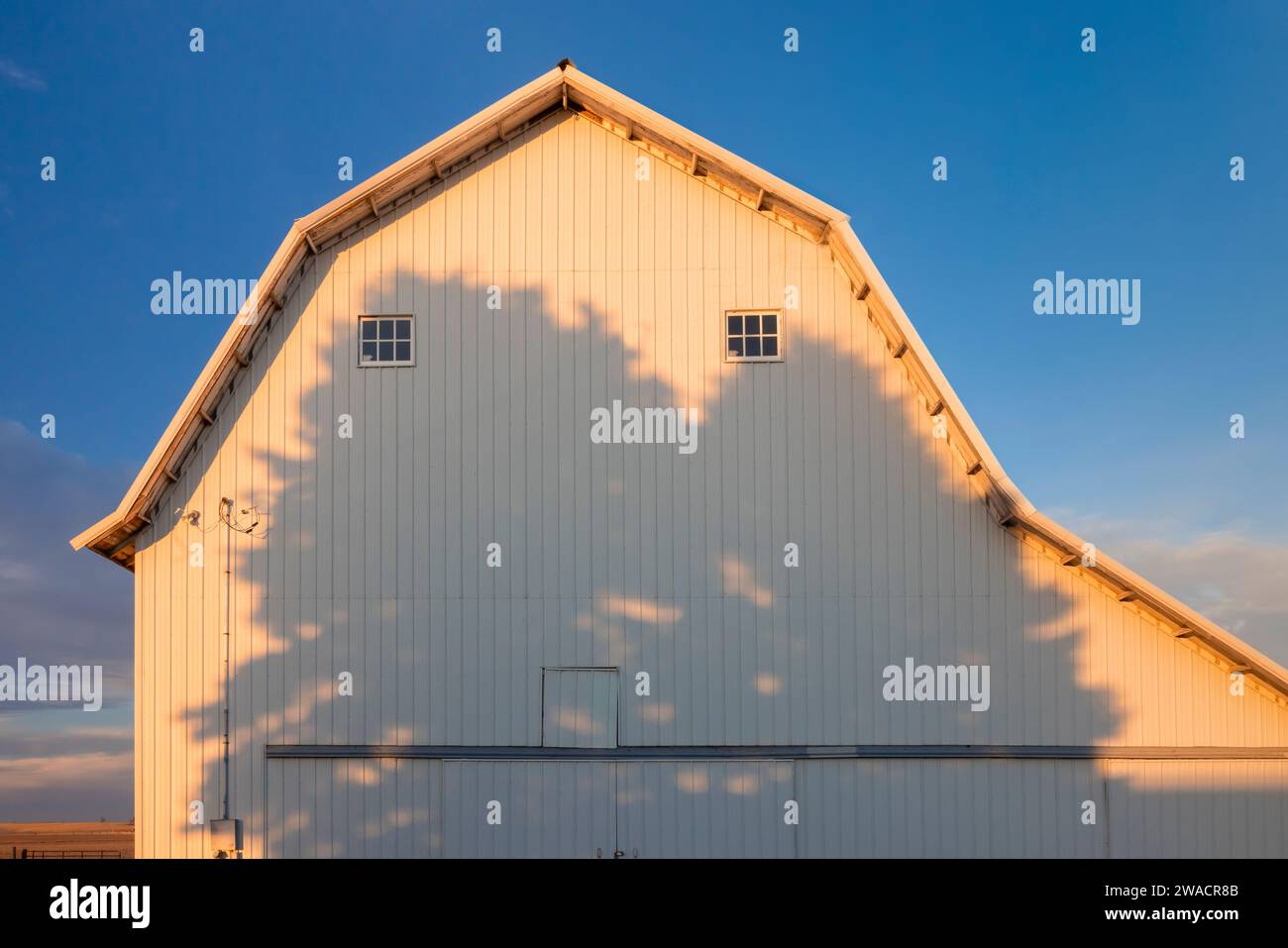 Barn with conifer shadows near Mechanicsville, Iowa, USA [No property release; editorial licencing only] Stock Photo