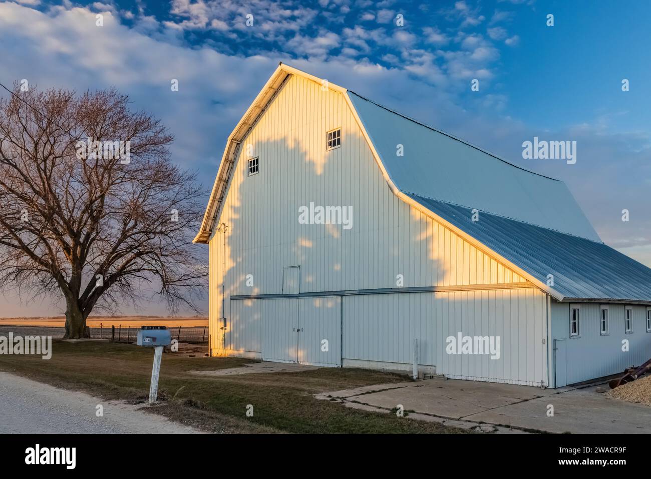 Barn with conifer shadows near Mechanicsville, Iowa, USA [No property release; editorial licencing only] Stock Photo