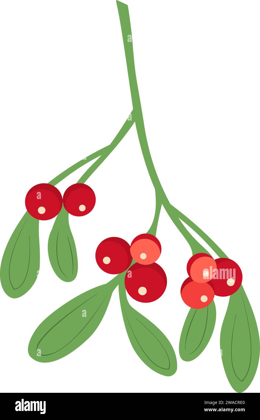 Branch of mistletoe with berries and red bow. A bouquet of Christmas ...