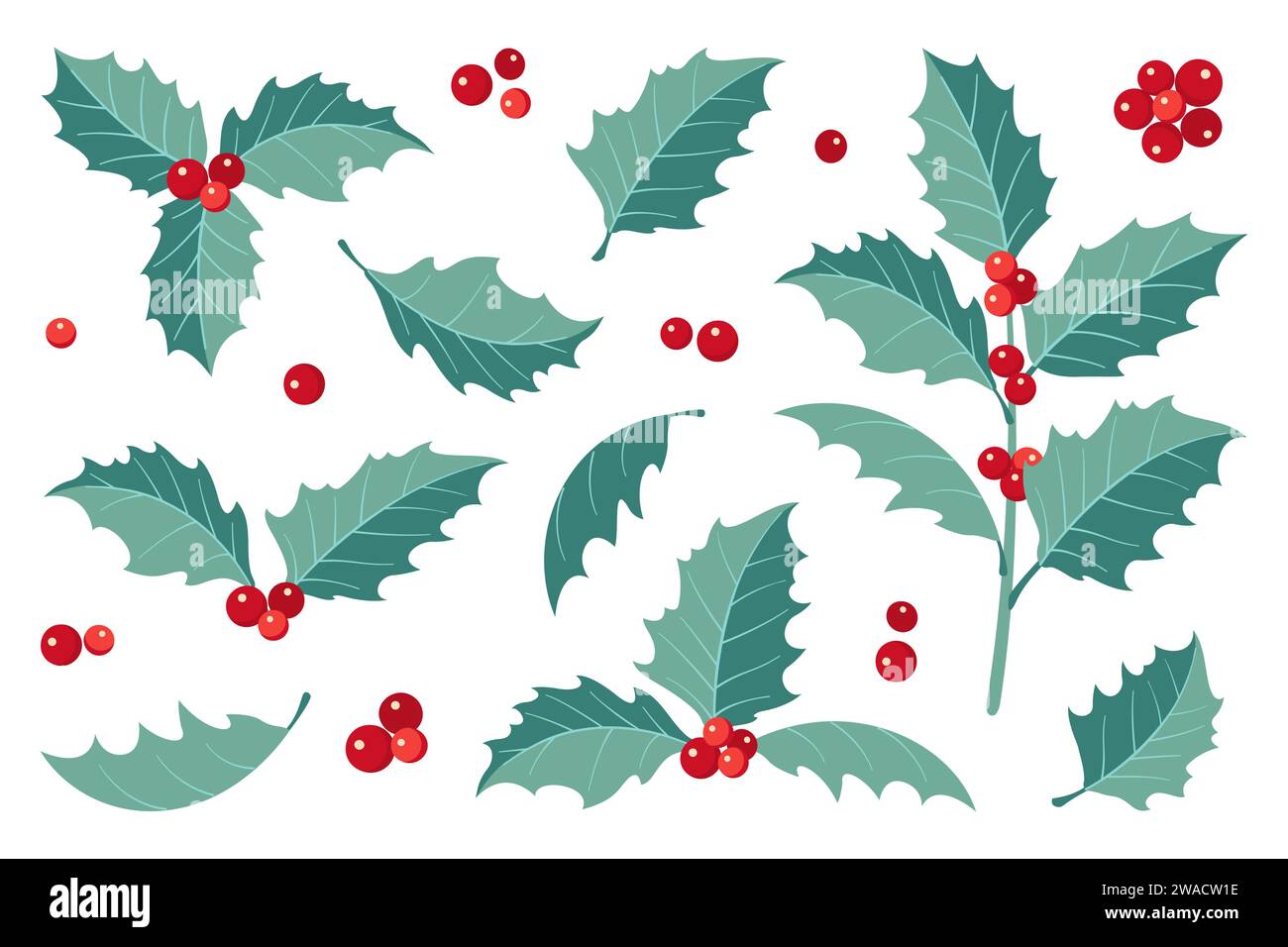 Christmas holly berry flat icon in cartoon style. Isolated on white ...