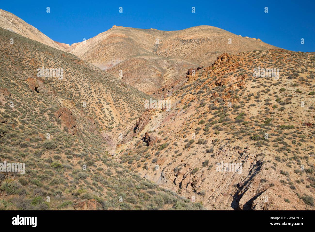Calico Mountains from Morman Dan Canyon, Calico Mountains Wilderness, Nevada Stock Photo