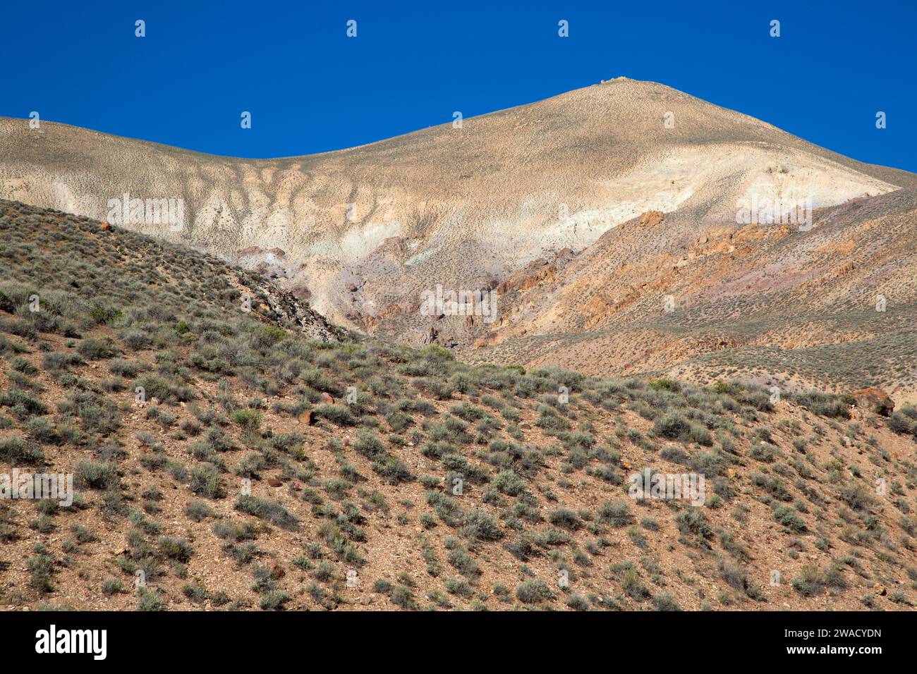 Calico Mountains from Morman Dan Canyon, Calico Mountains Wilderness, Nevada Stock Photo