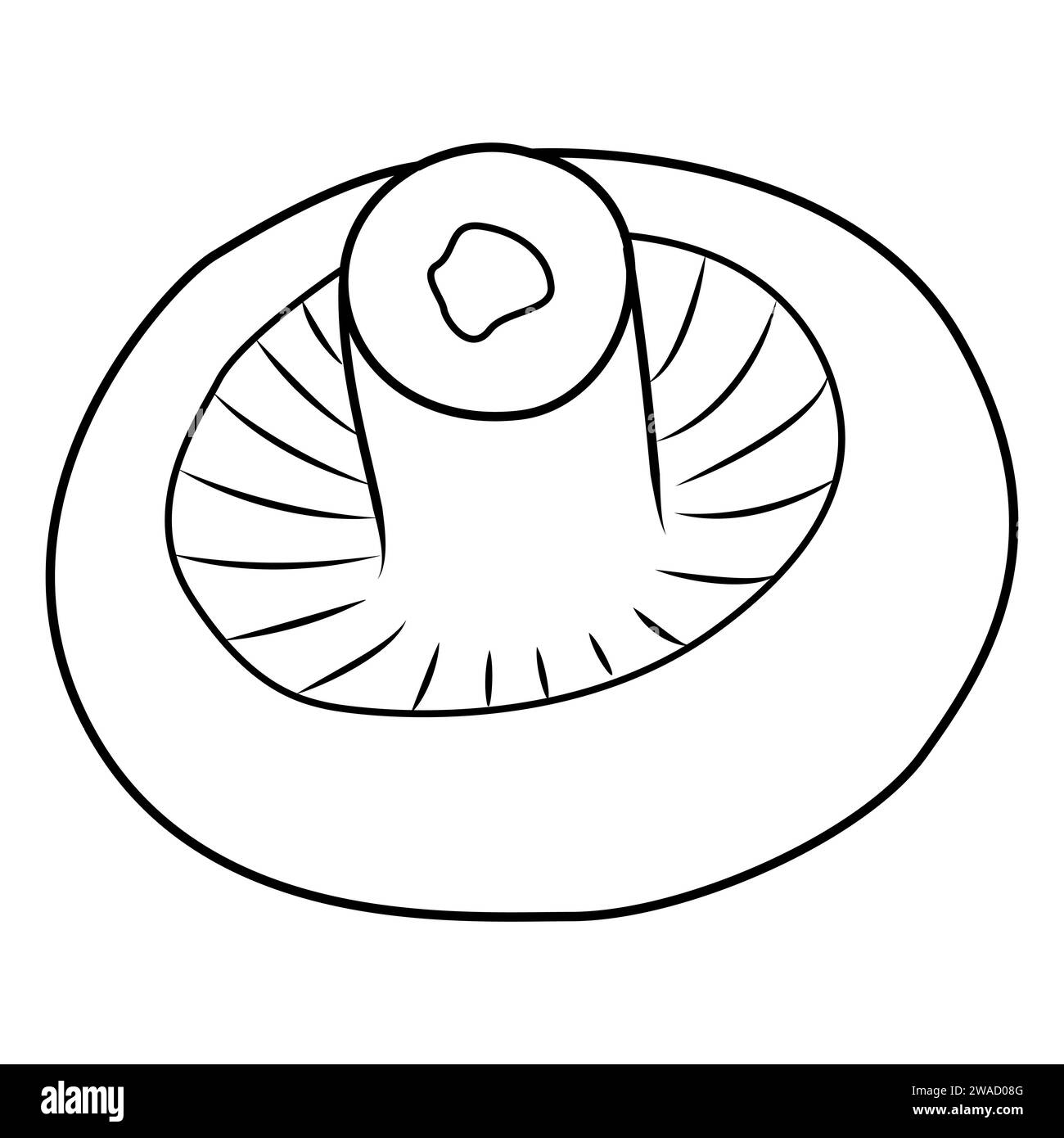 Champignon and Porcini. white button isolated. Vintage. Coloring page