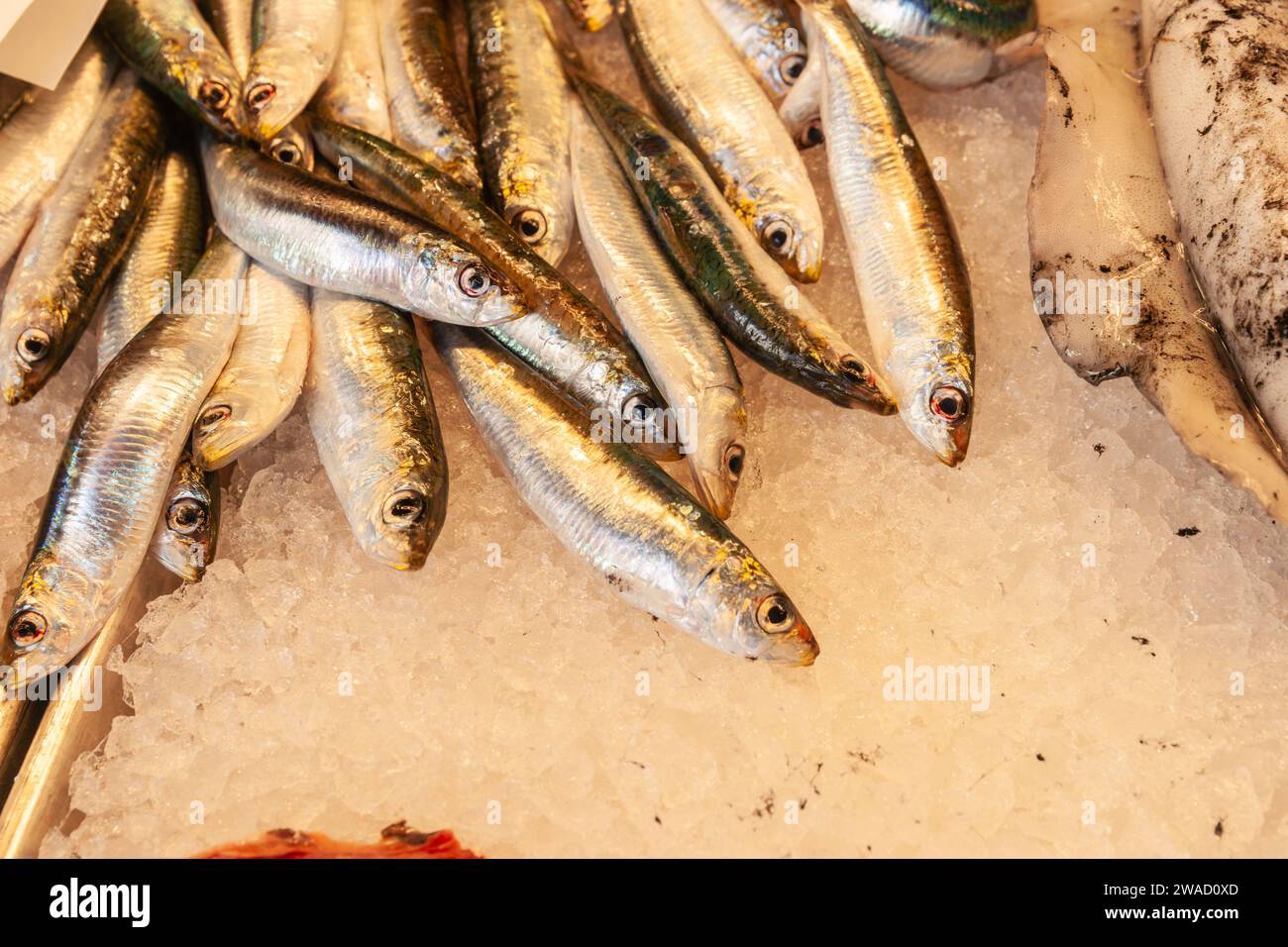 Small fish on ice in Rialto Italian night market stall Stock Photo - Alamy