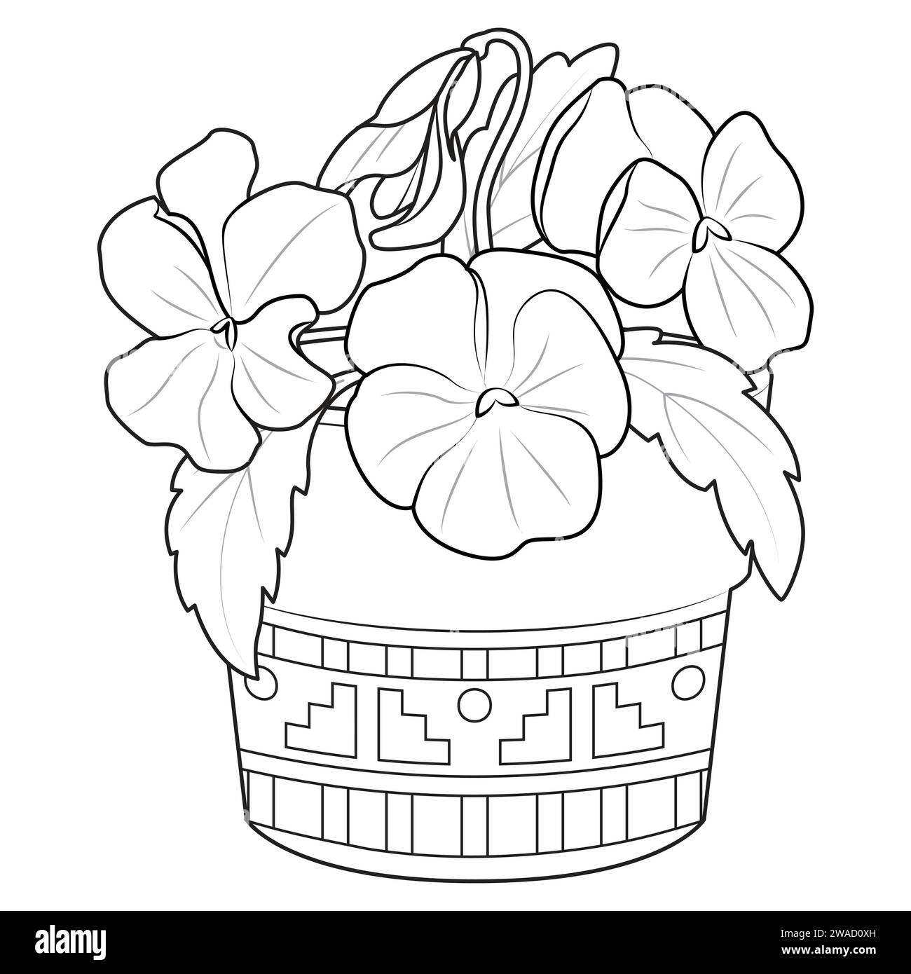 Violets in a pot outline icons. Black and white Violets, pansies