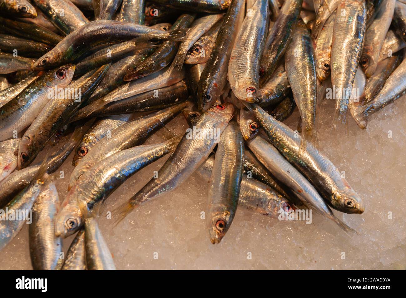 Small fish on ice in Rialto Italian night market stall Stock Photo - Alamy