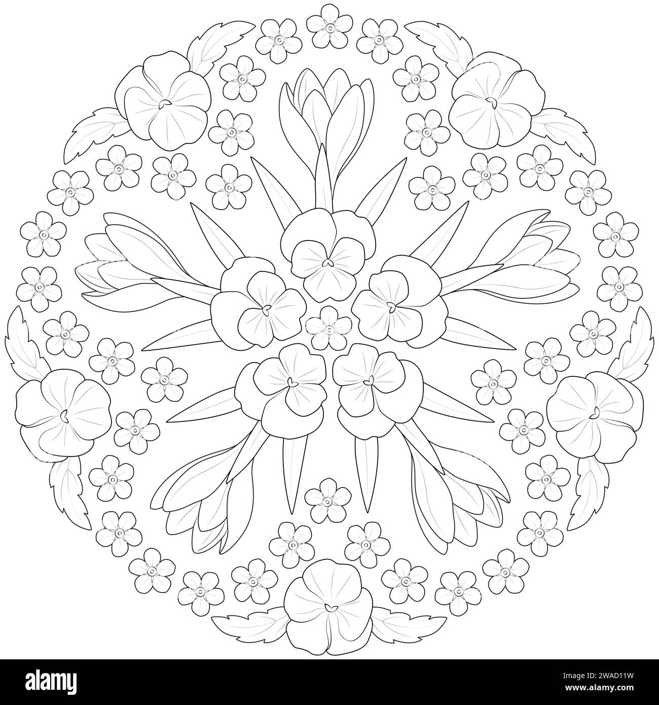 Spring Mandala Examples Mandala of spring flowers. crocus and violet and forgetmenots in black ...