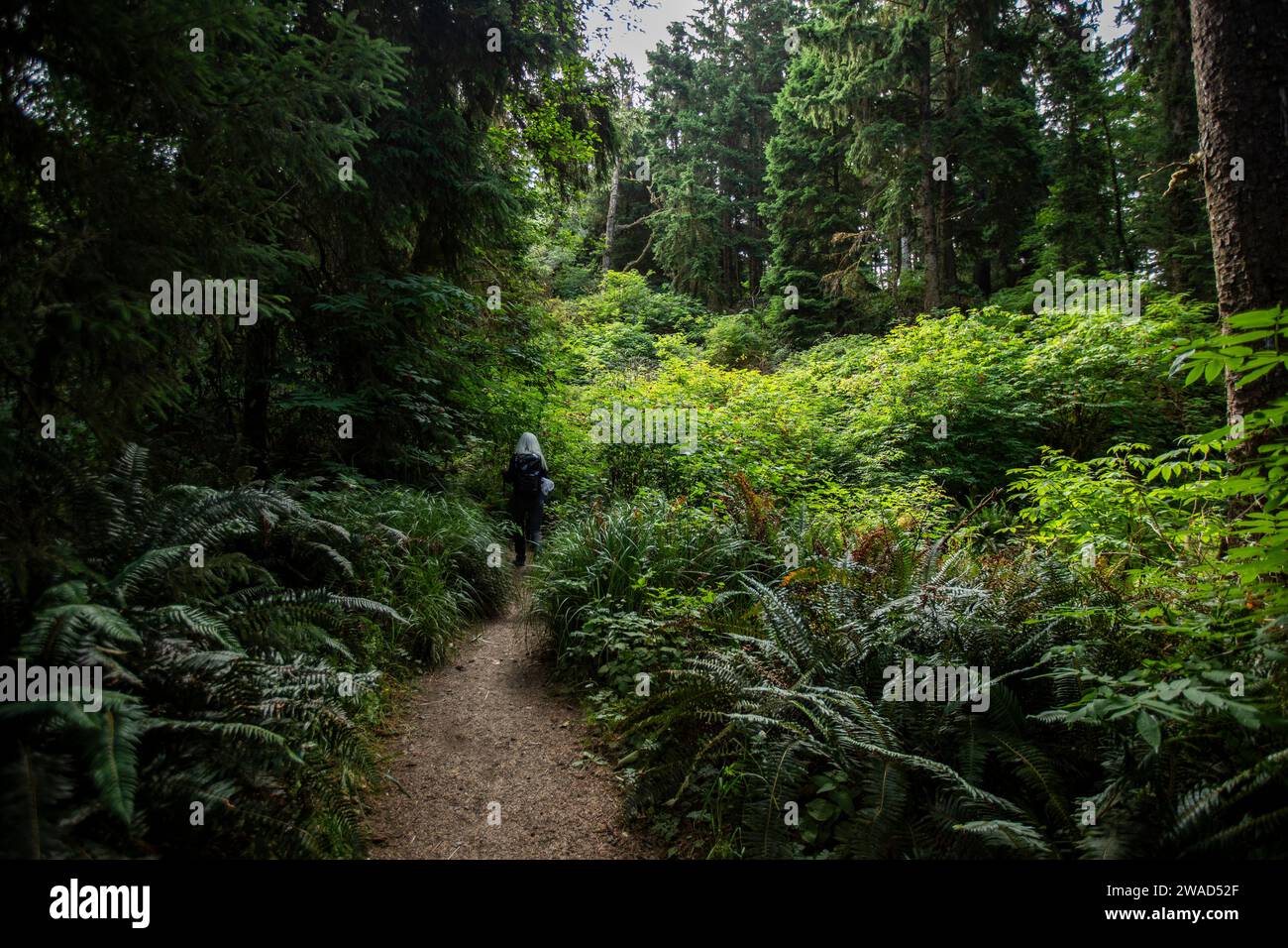 Woman walking on path hi-res stock photography and images - Alamy