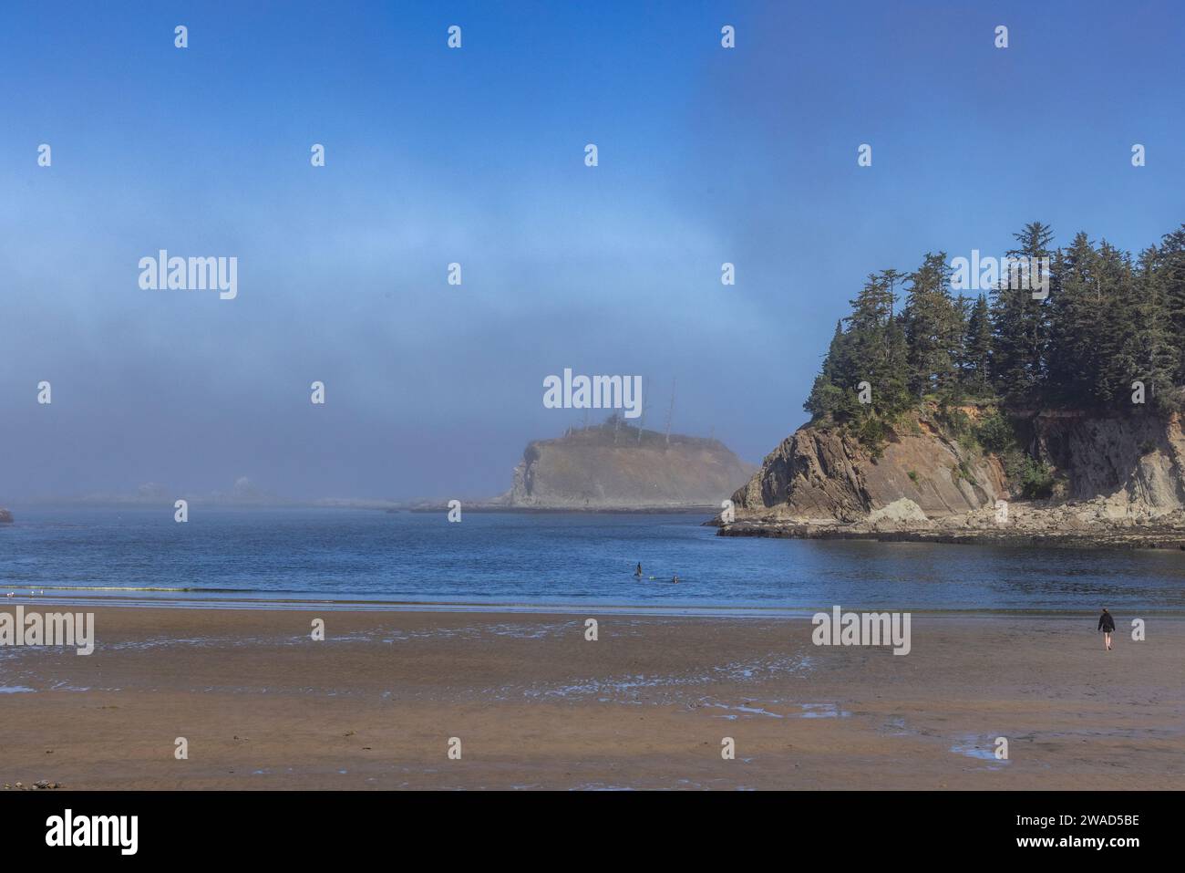 USA, Oregon, Coos Bay, Rocky headlands and forest along coast Stock Photo