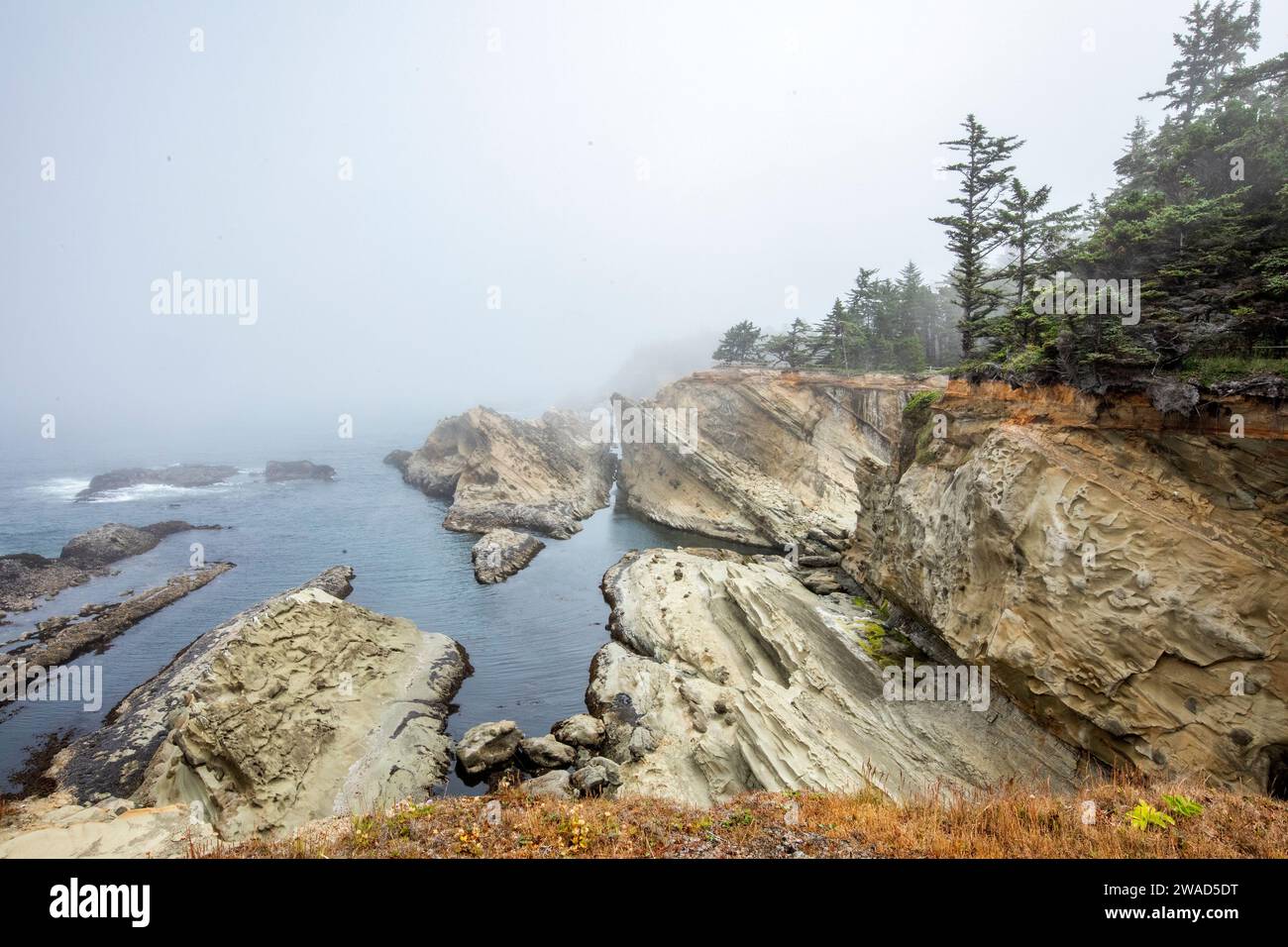 USA, Oregon, Coos Bay, Rock formations along sea at foggy day Stock Photo