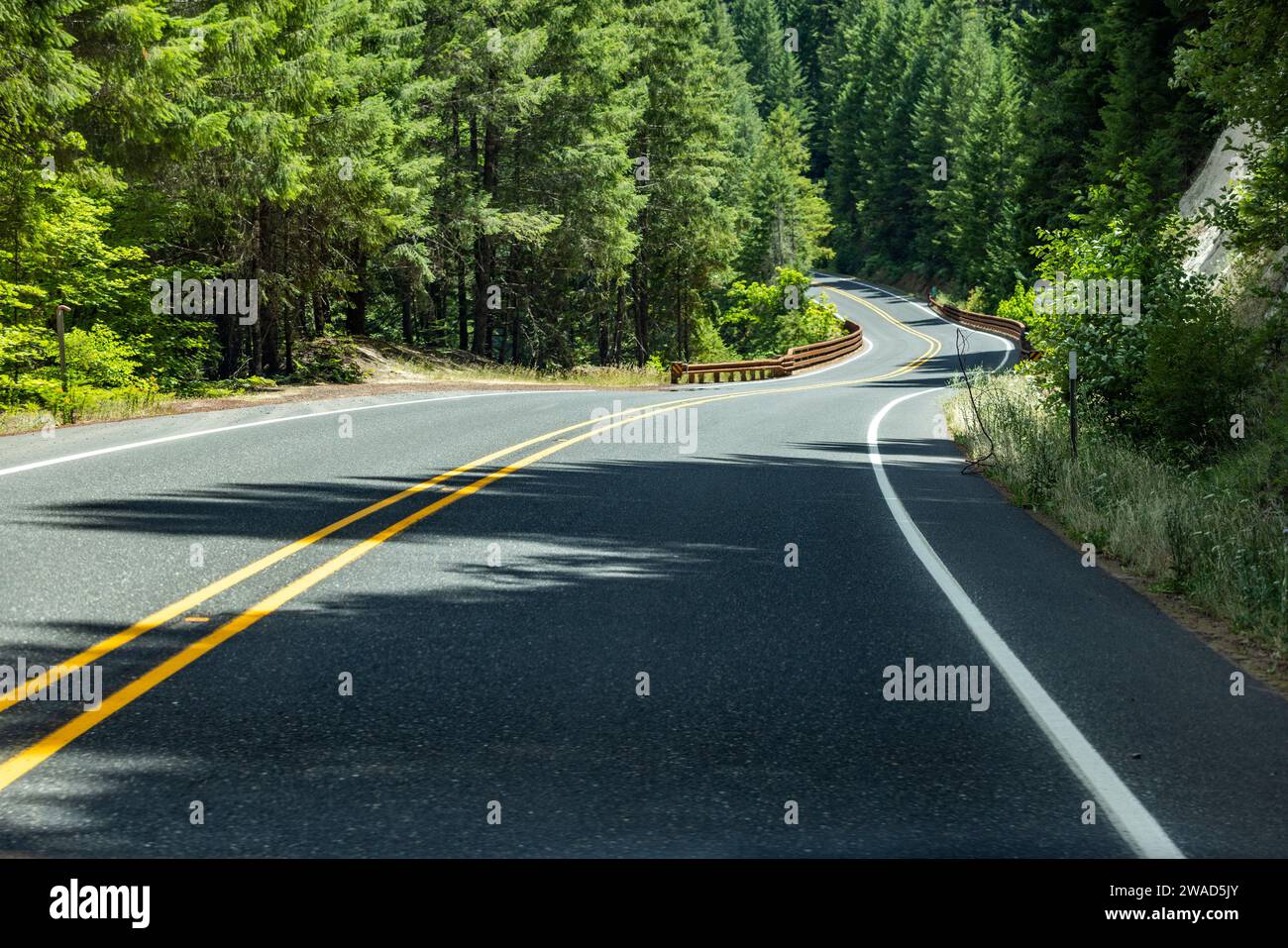 Empty road leading through forest Stock Photo