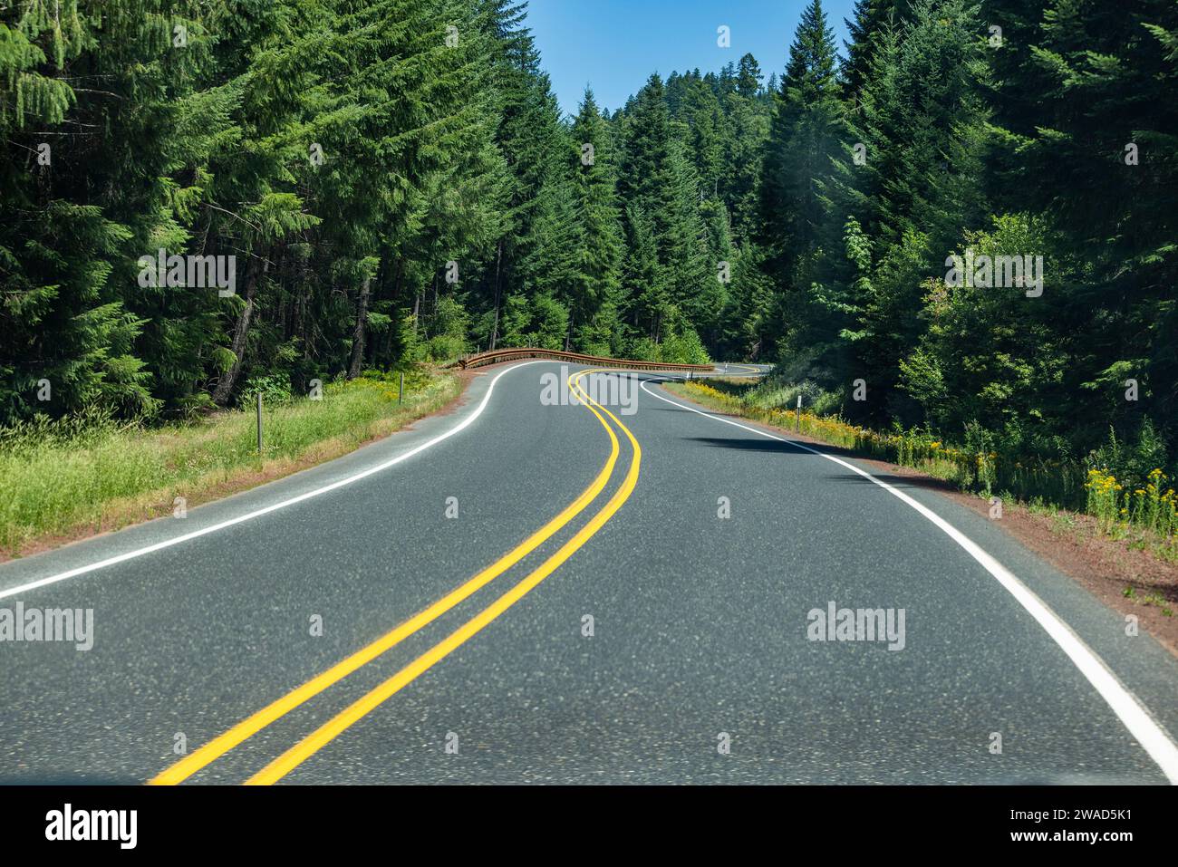 Empty road through green hi-res stock photography and images - Alamy