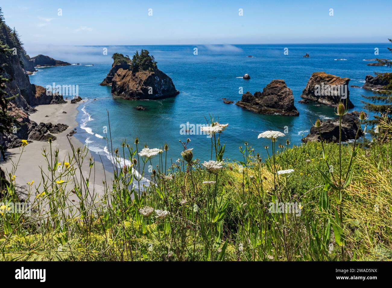 View rocks sticking out water hi-res stock photography and images - Alamy