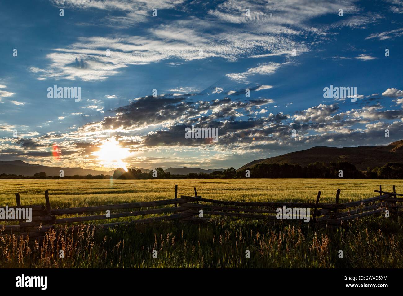 USA, Idaho, Bellevue, Sun rising over grain fields Stock Photo