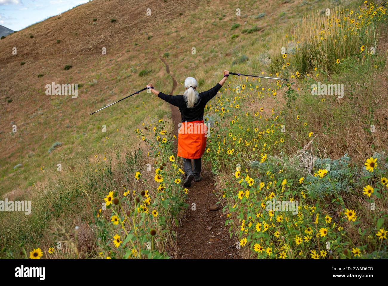 USA, Idaho, Hailey, Senior woman hiking Carbonate Mountain trail Stock ...