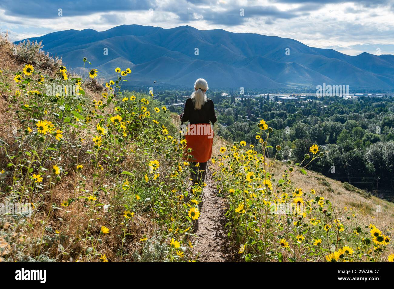 USA, Idaho, Hailey, Senior woman hiking Carbonate Mountain trail Stock ...