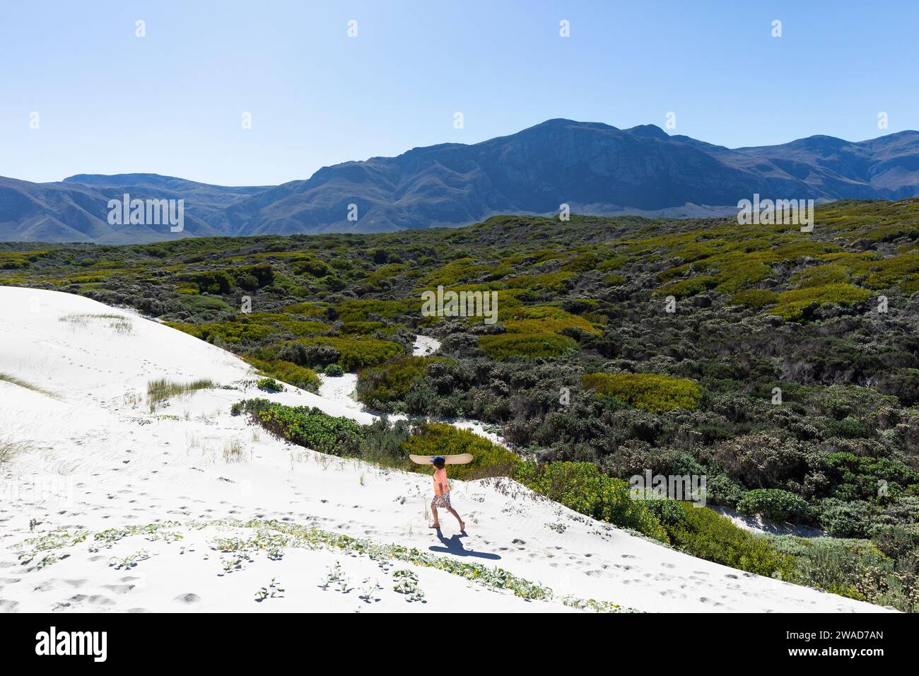 South Africa, Boy (10-11) carrying surfboard in Walker Bay Nature Reserve Stock Photo