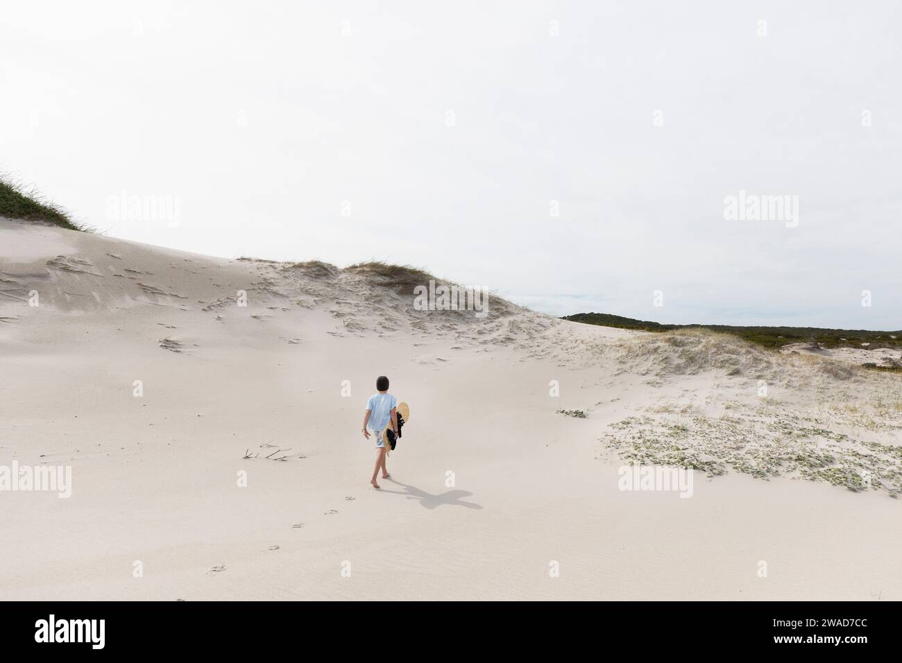Boy (10-11) carrying surfboard in Walker Bay Nature Reserve Stock Photo
