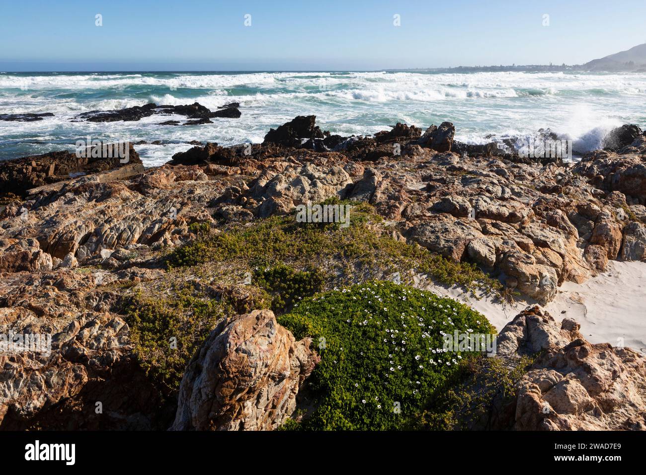 South Africa, Hermanus, Sea coast with rocks on Kammabaai Beach Stock Photo