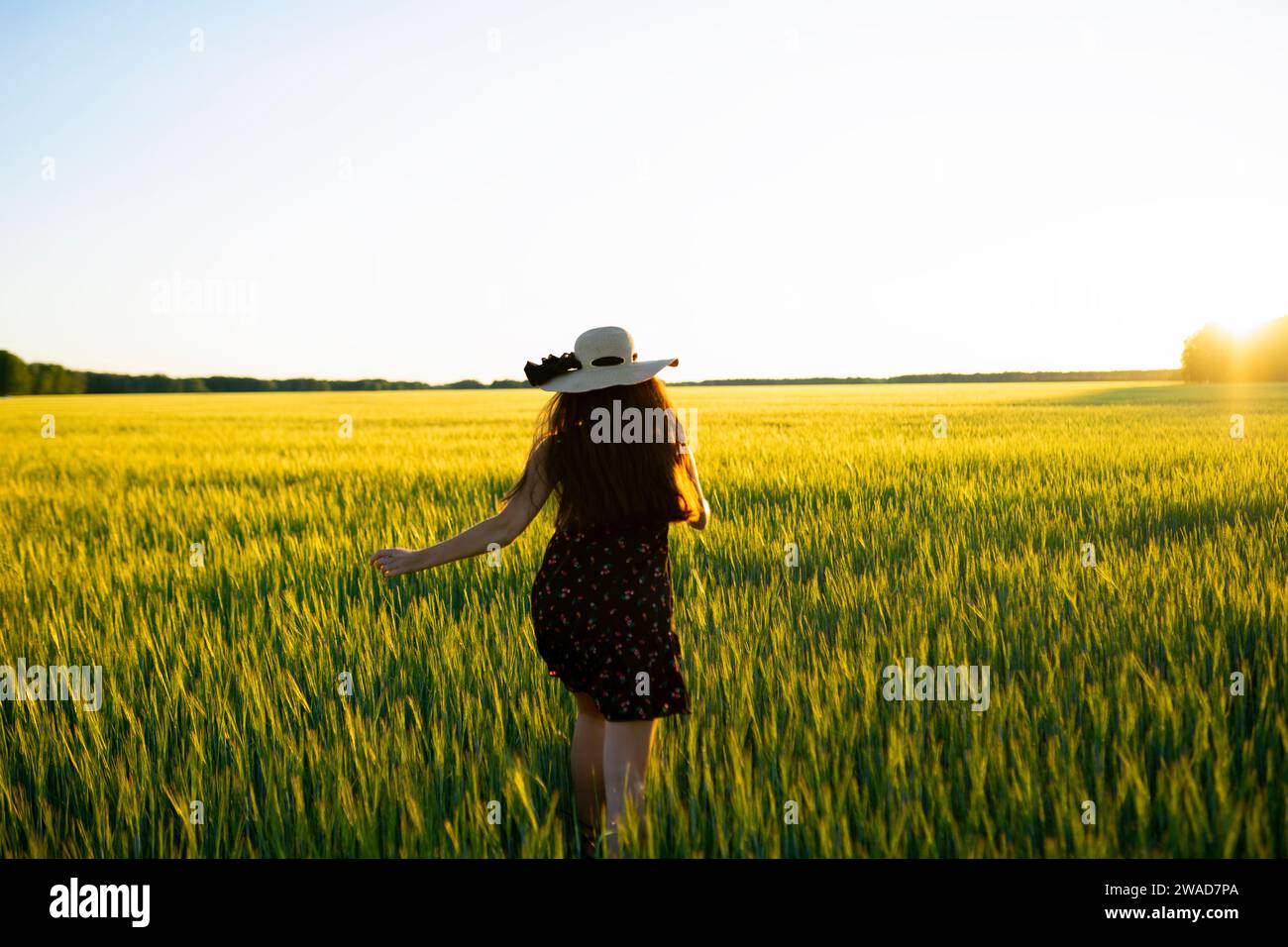 Rear view of woman in straw hat walking in field at sunset Stock Photo