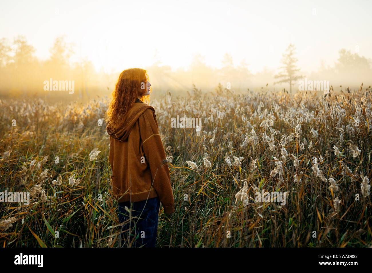 Rear view of woman standing in field at sunrise Stock Photo
