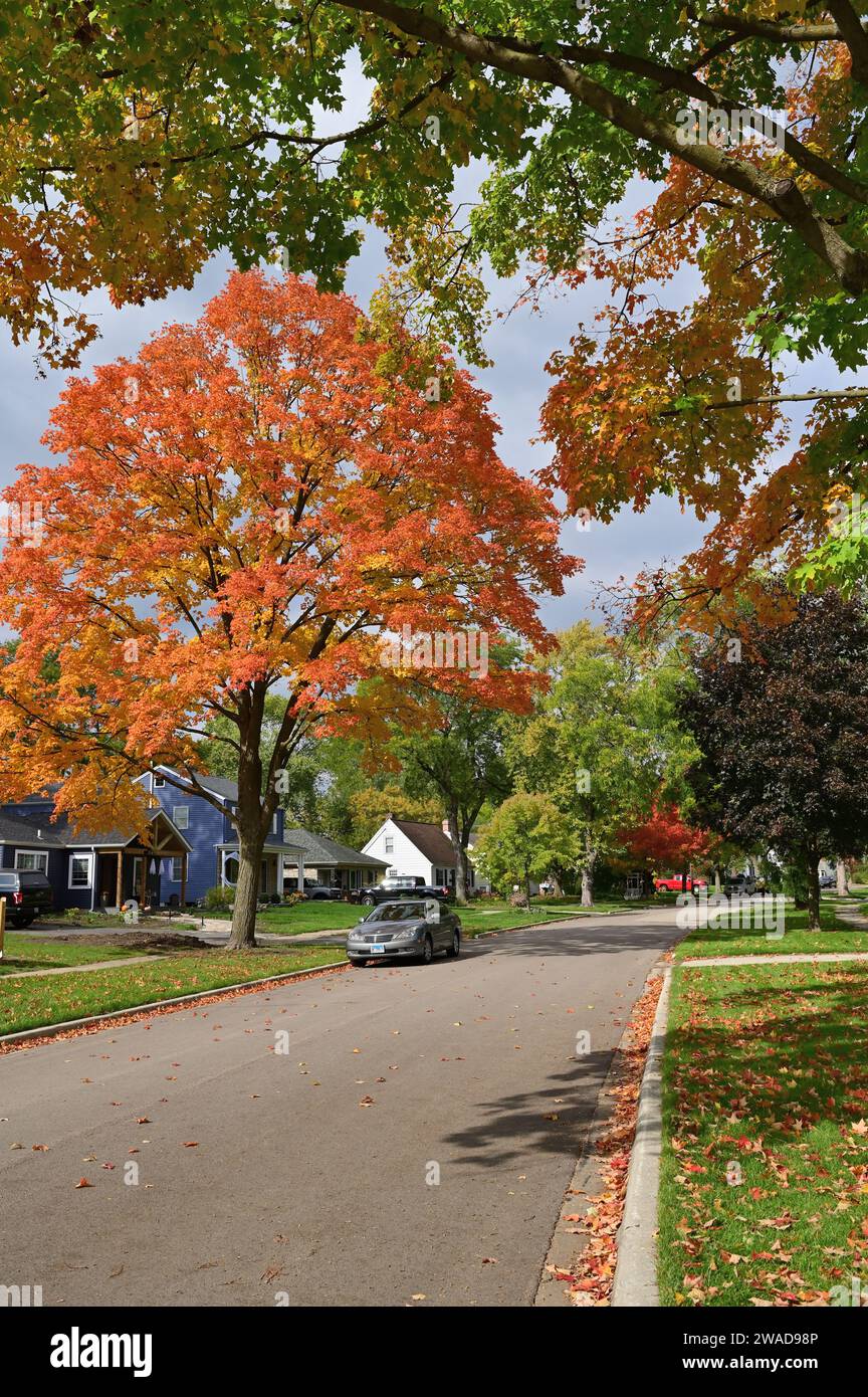 Glen Ellyn, Illinois, USA. Autumn arrives in suburban Chicago evidenced by the turning colors of tree leaves and the accumulation of fallen leaves. Stock Photo