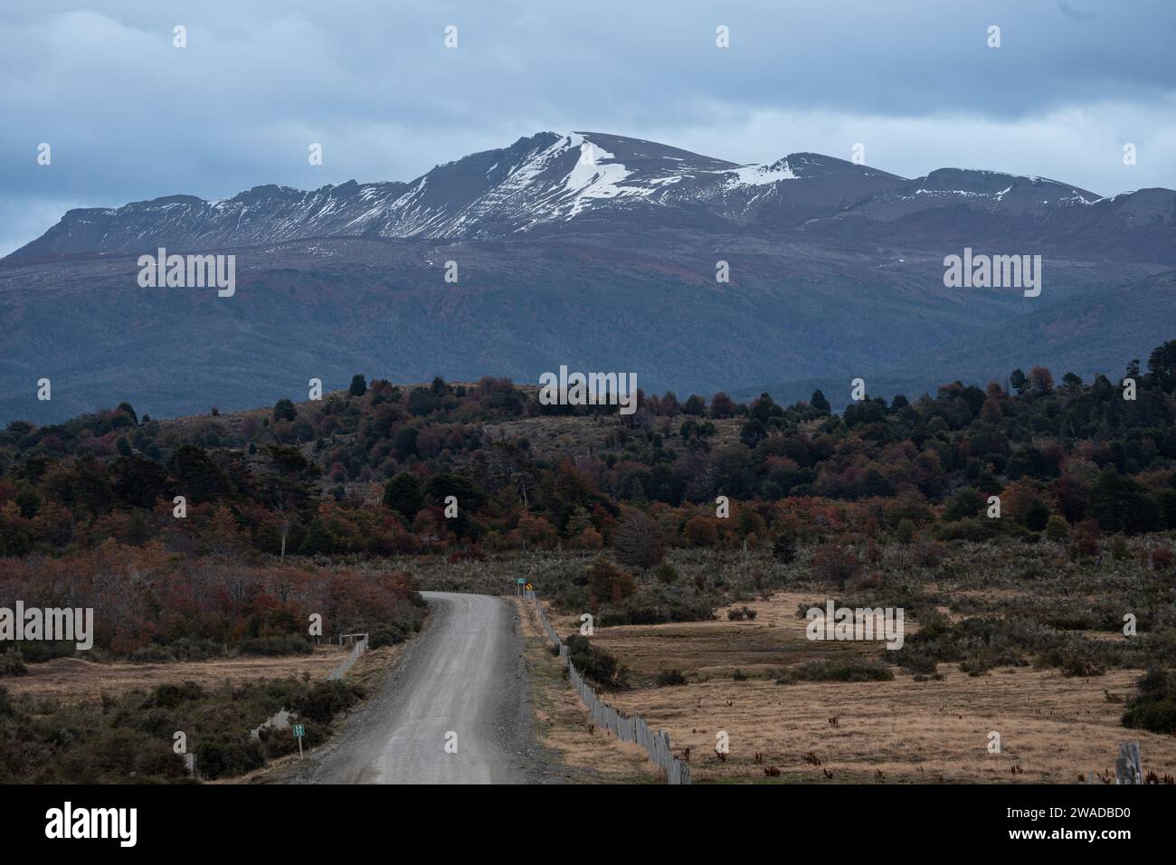 dirt road in the countryside leading to a snowy mountain Stock Photo