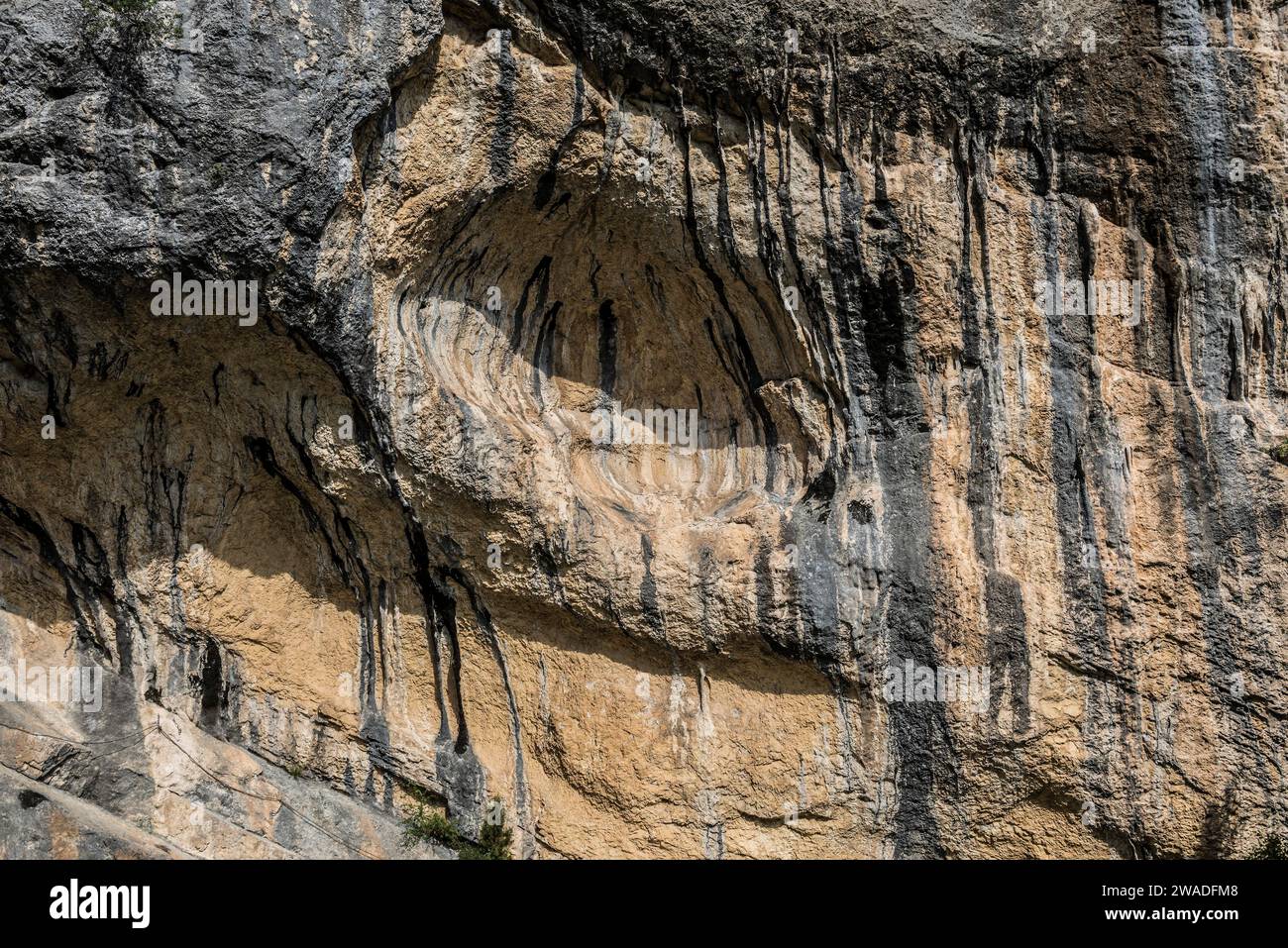 and climbing rocks, d'Ubrieux, BuislesBaronnies, Drôme department, Provence