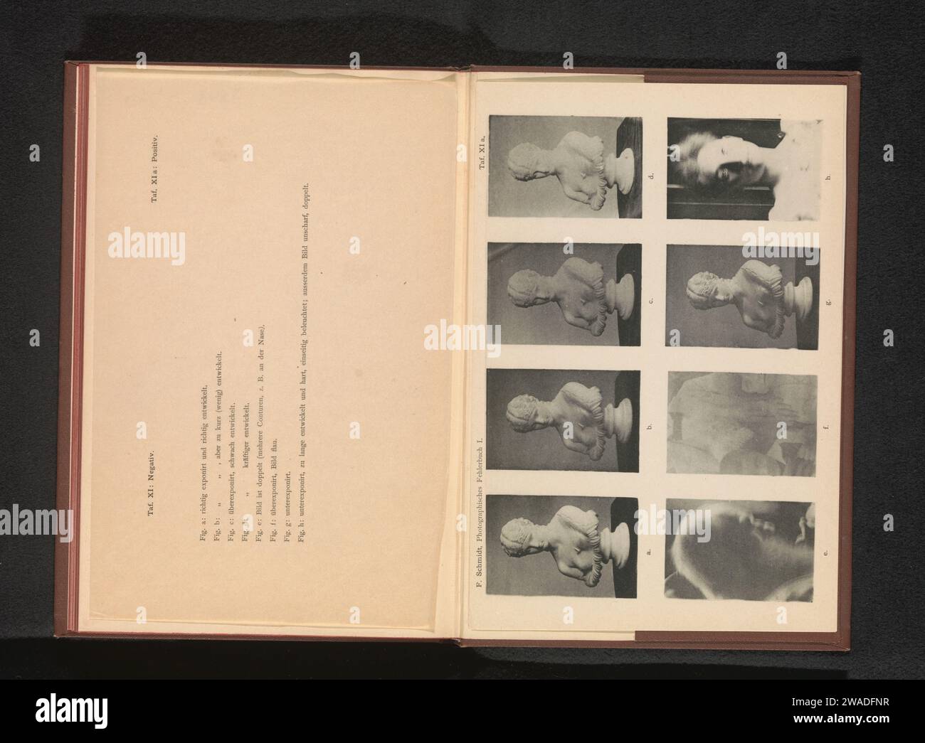 Eight different examples hi-res stock photography and images - Alamy