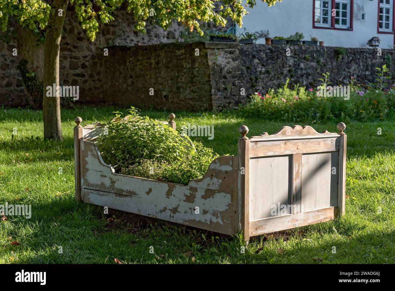 Old wooden bed as raised bed, herb garden, herbs and vegetables grown in it, garden of Friedberg Castle, castle park, old town, Friedberg Stock Photo